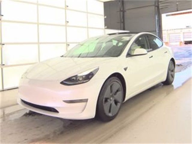 2021 Tesla Model 3 Base's photo
