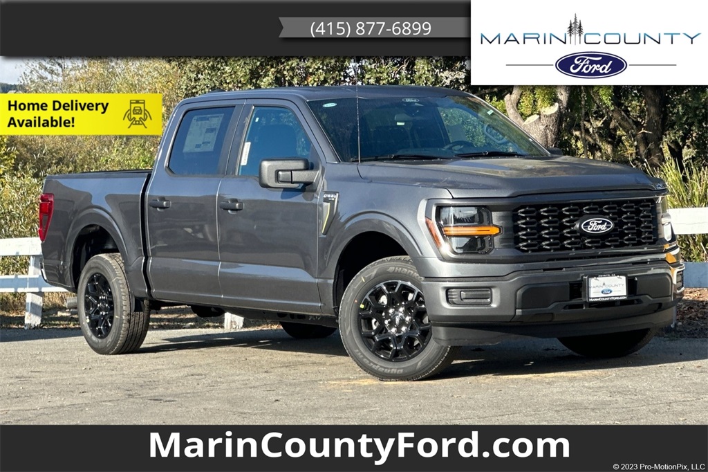 2025 Ford F-150 STX's photo