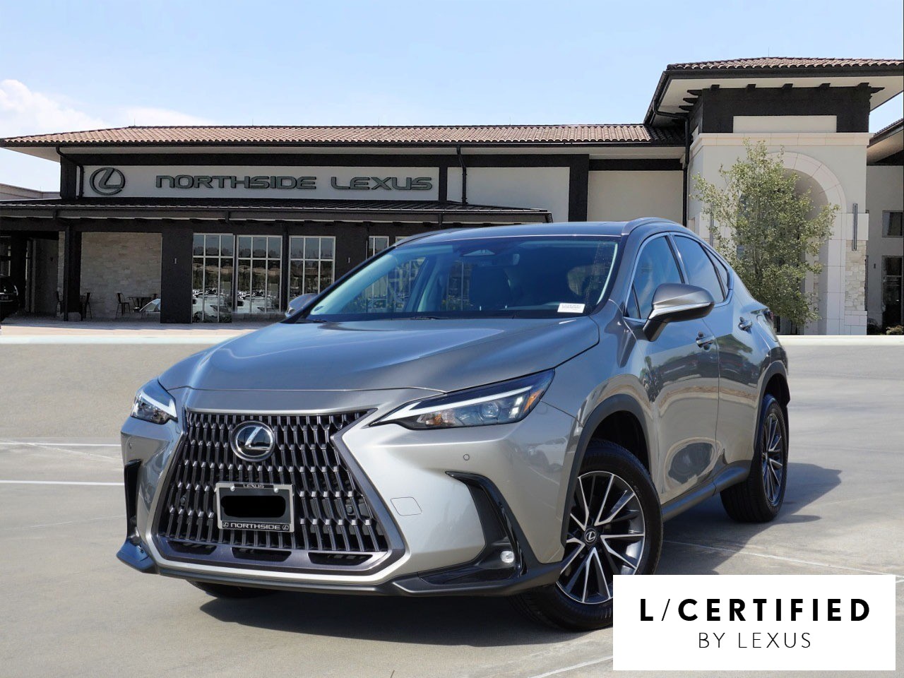 2024 Lexus NX 250's photo