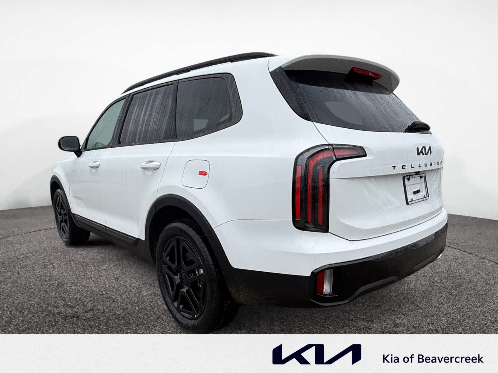 2025 Kia Telluride SX X-Line photo 2