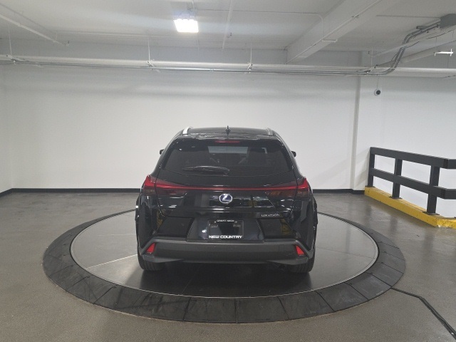 2022 Lexus UX 250h photo 3