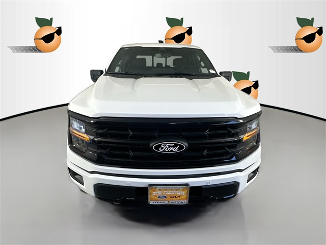 2025 Ford F-150 XLT photo 2