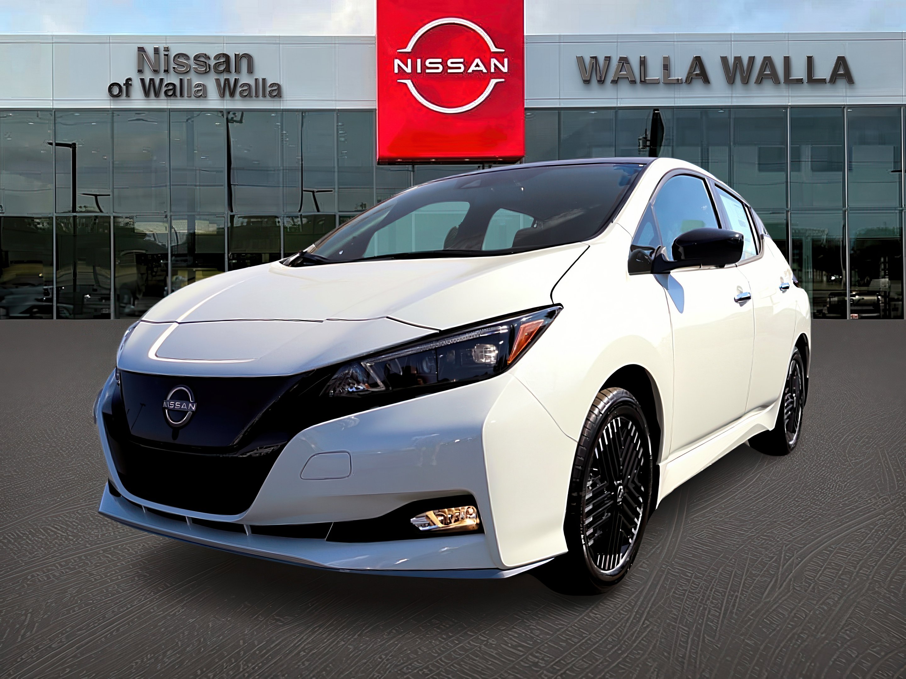 2025 Nissan Leaf SV Plus photo 3