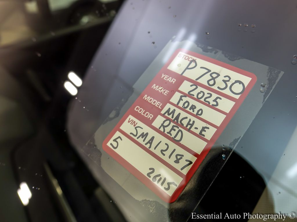 2025 FORD MUSTANG MACH-E - Image 30