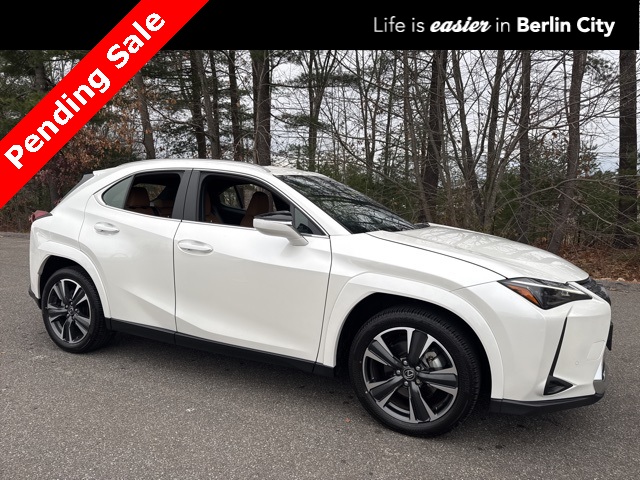 2025 Lexus UX Hybrid 300h Premium's photo