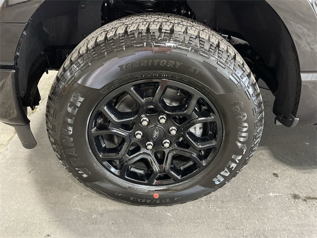 2025 Ford F-150 XLT photo 21