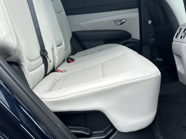 2025 Hyundai Tucson Hybrid SEL Convenience photo 13