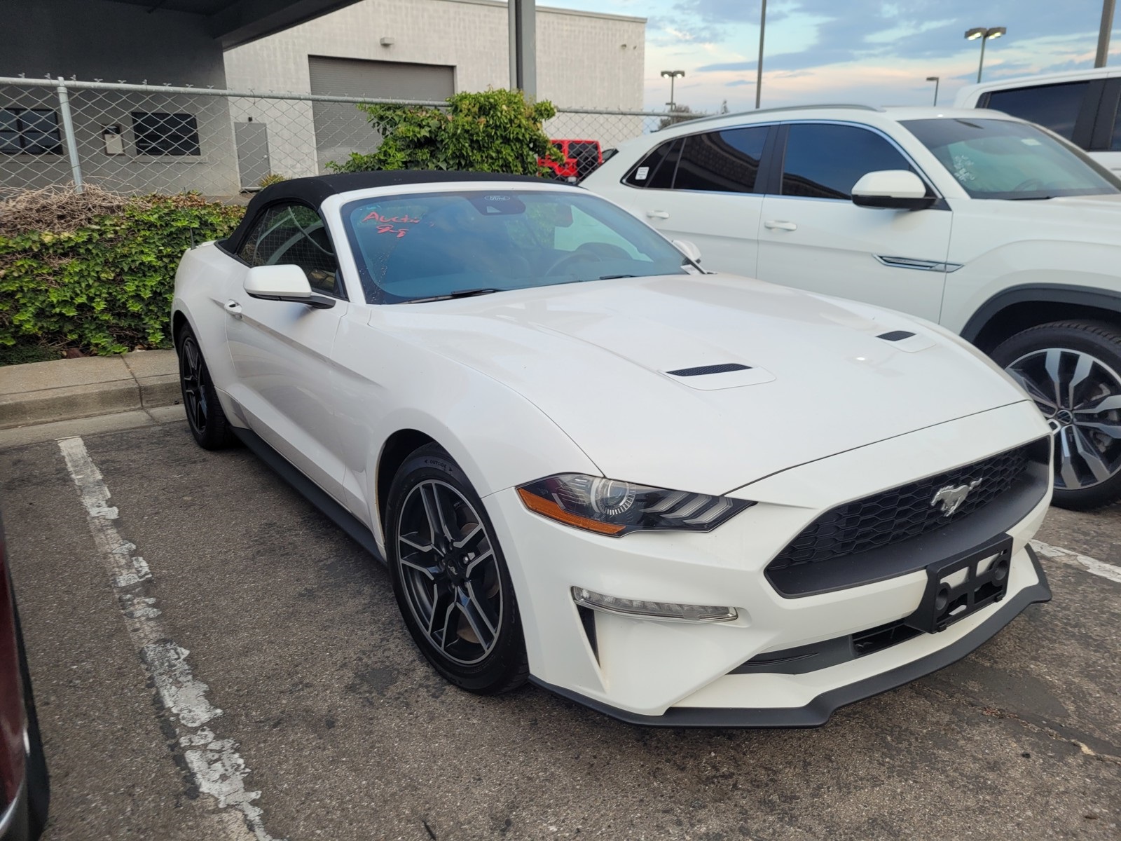 2022 Ford Mustang EcoBoost Premium photo 3