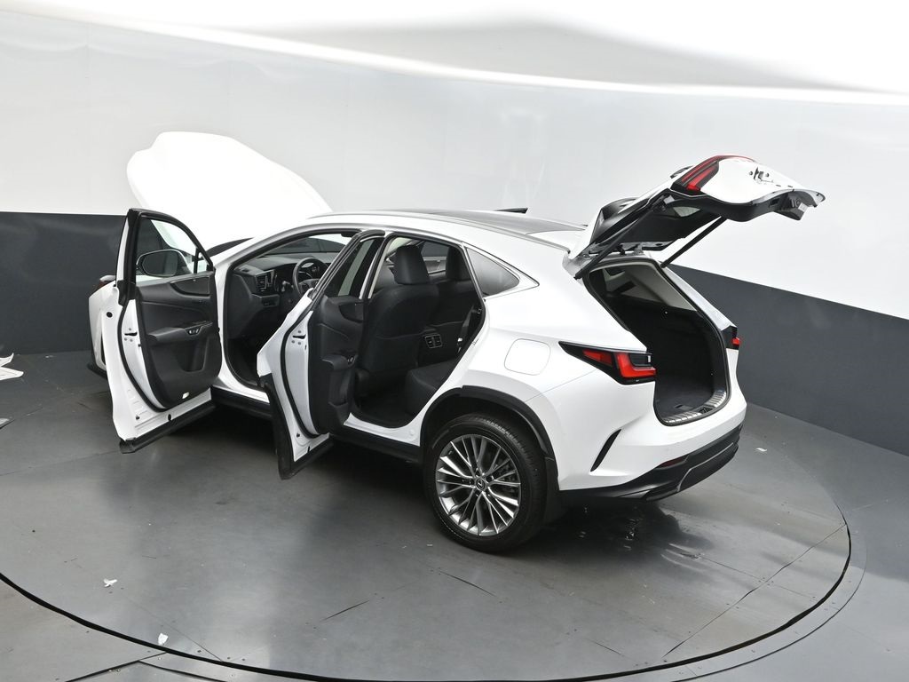 2023 Lexus NX 350 Luxury photo 2
