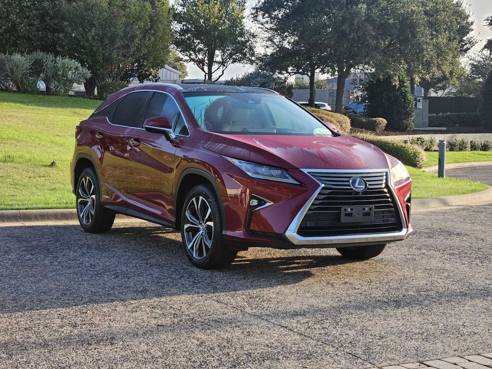 2019 Lexus RX 450h photo 2
