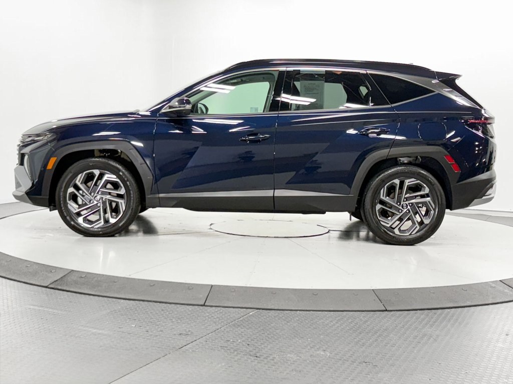 2025 Hyundai Tucson Hybrid Limited photo 4