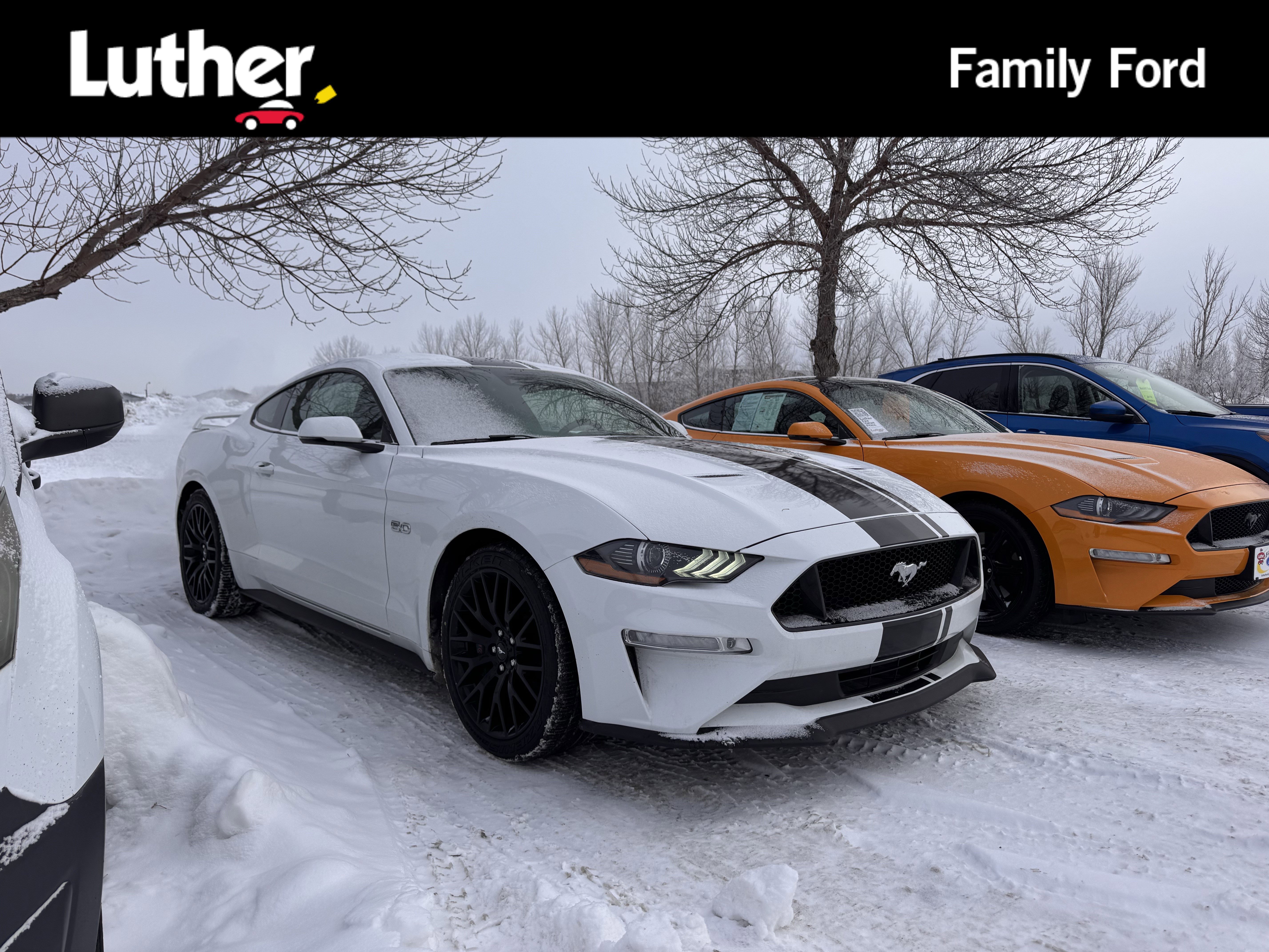 2019 Ford Mustang GT Premium's photo