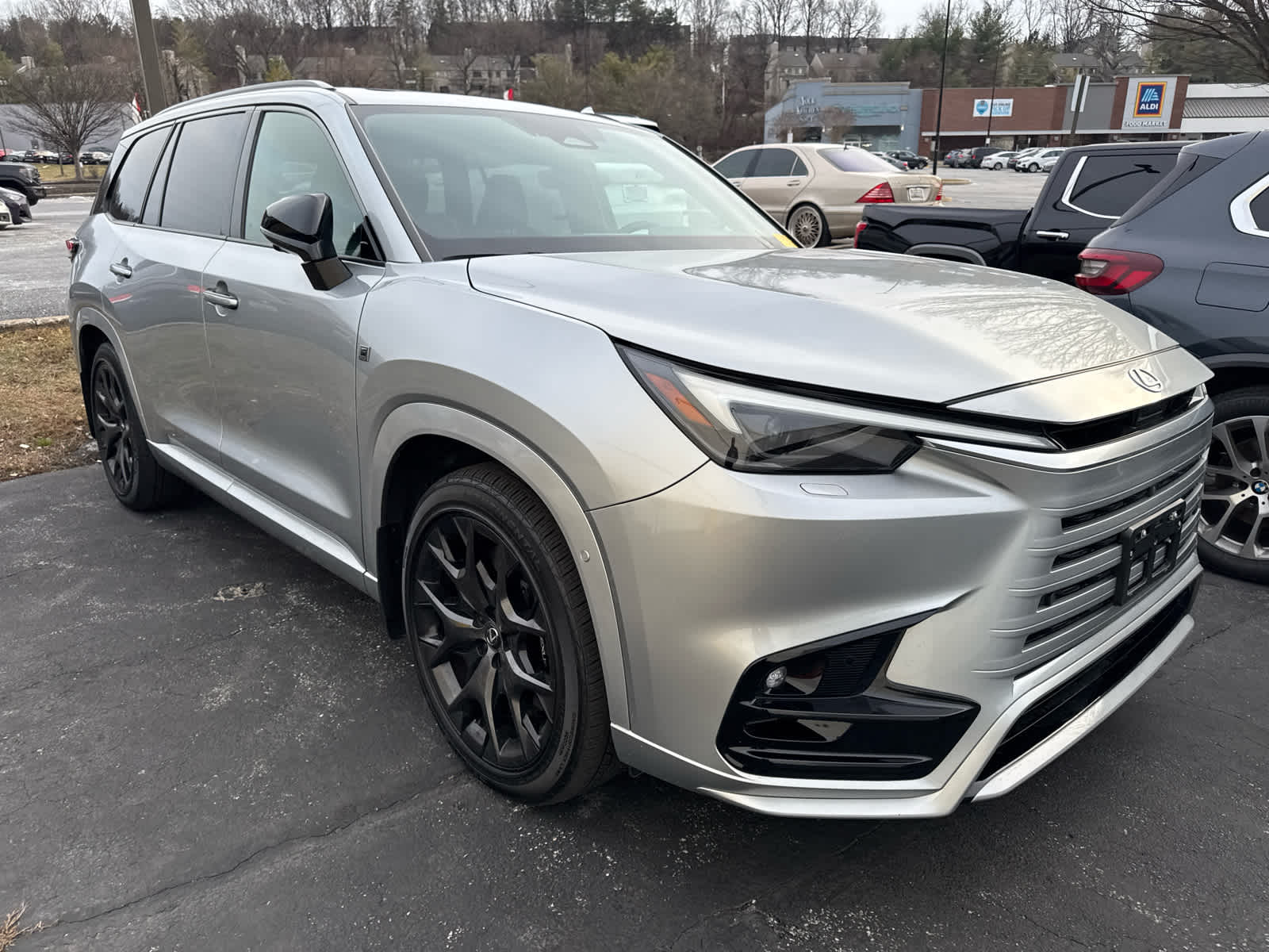 2024 Lexus TX Hybrid 500h's photo