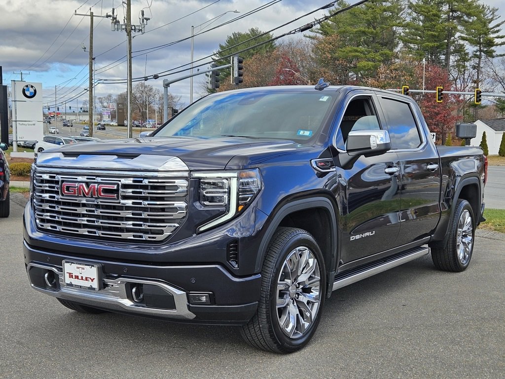 2025 Gmc Sierra 1500 Denali photo 3
