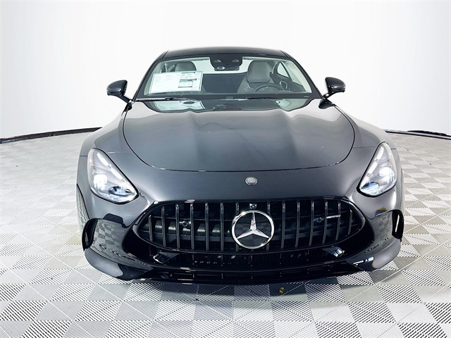 2026 Mercedes Benz AMG GT E PERFORMANCE photo 2