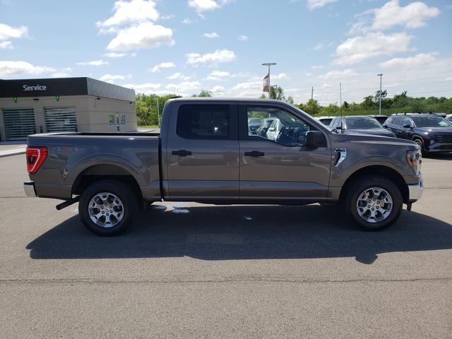 2023 Ford F-150 XLT photo 4