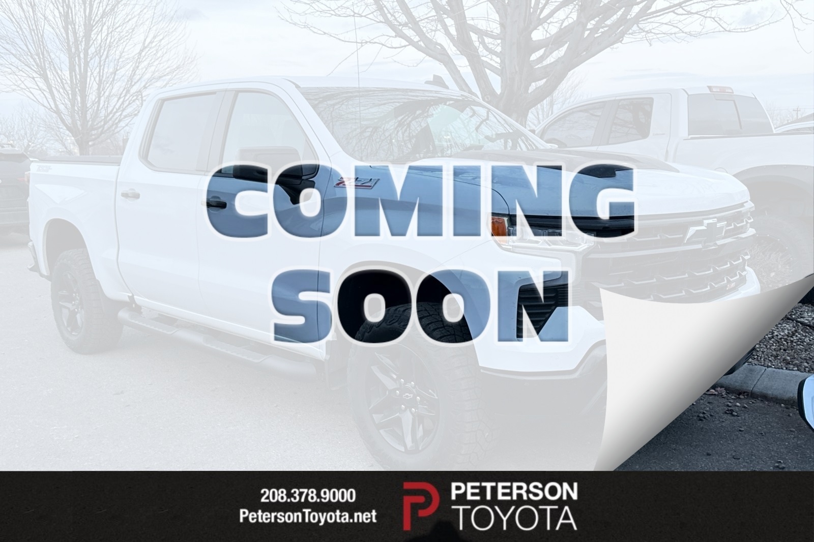 2024 Chevrolet Silverado 1500 LT Trail Boss's photo