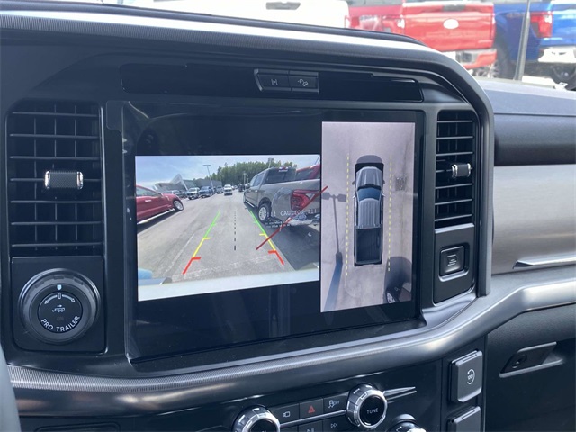 2025 Ford F-150 Platinum photo 18