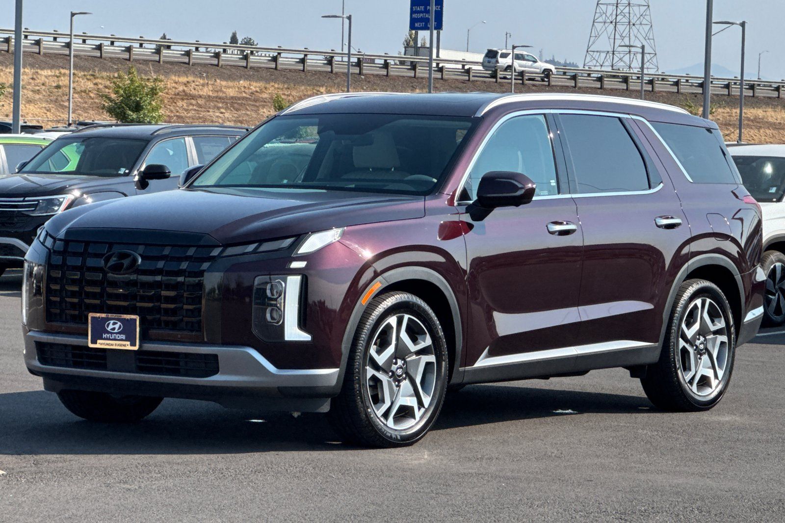 2023 Hyundai Palisade Limited photo 7
