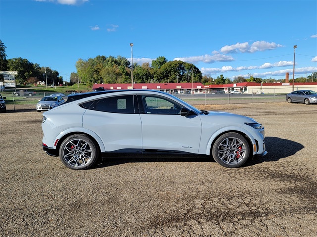 2025 Ford Mustang Mach-E GT photo 3