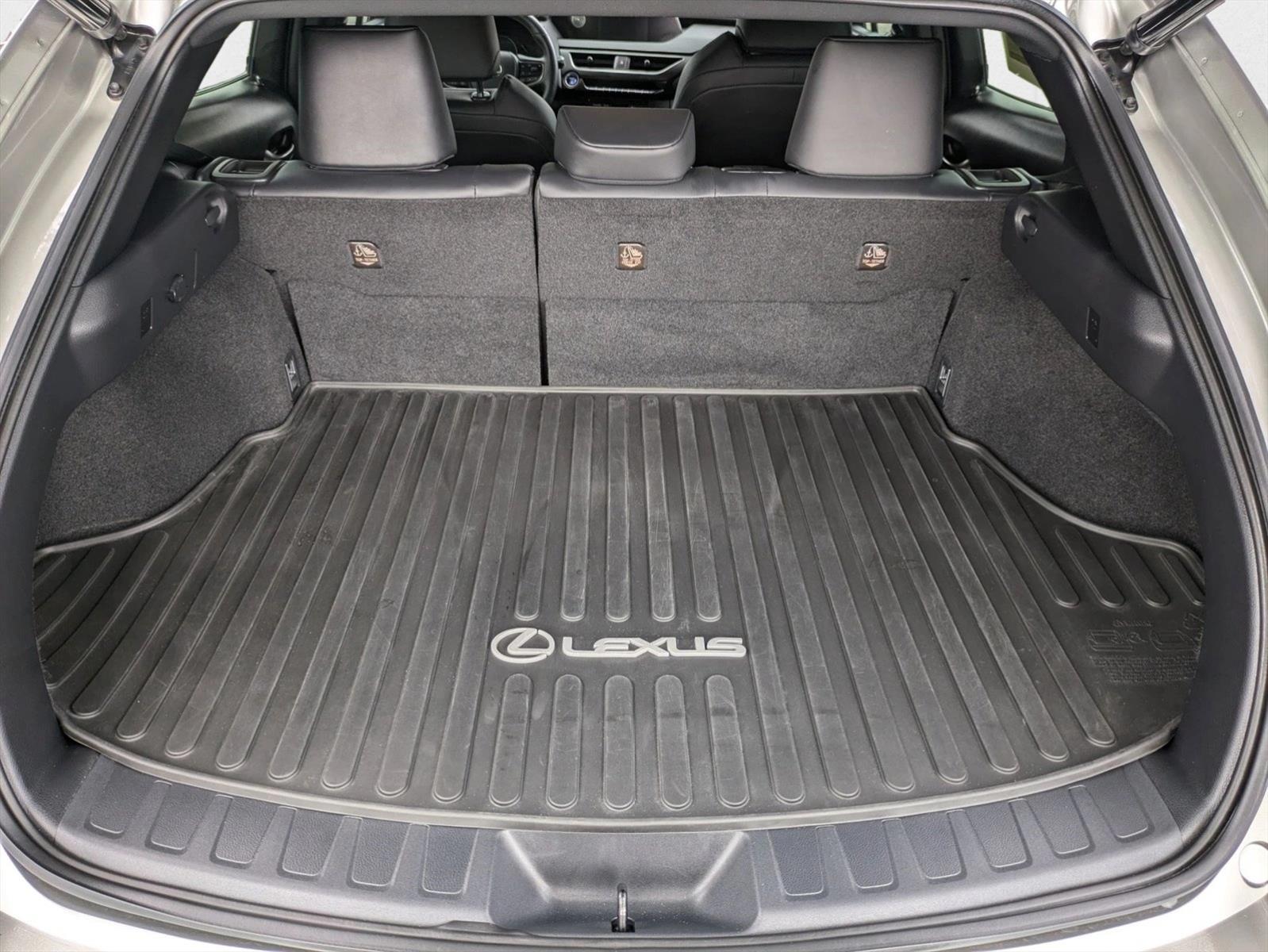 2021 Lexus UX 250h photo 6