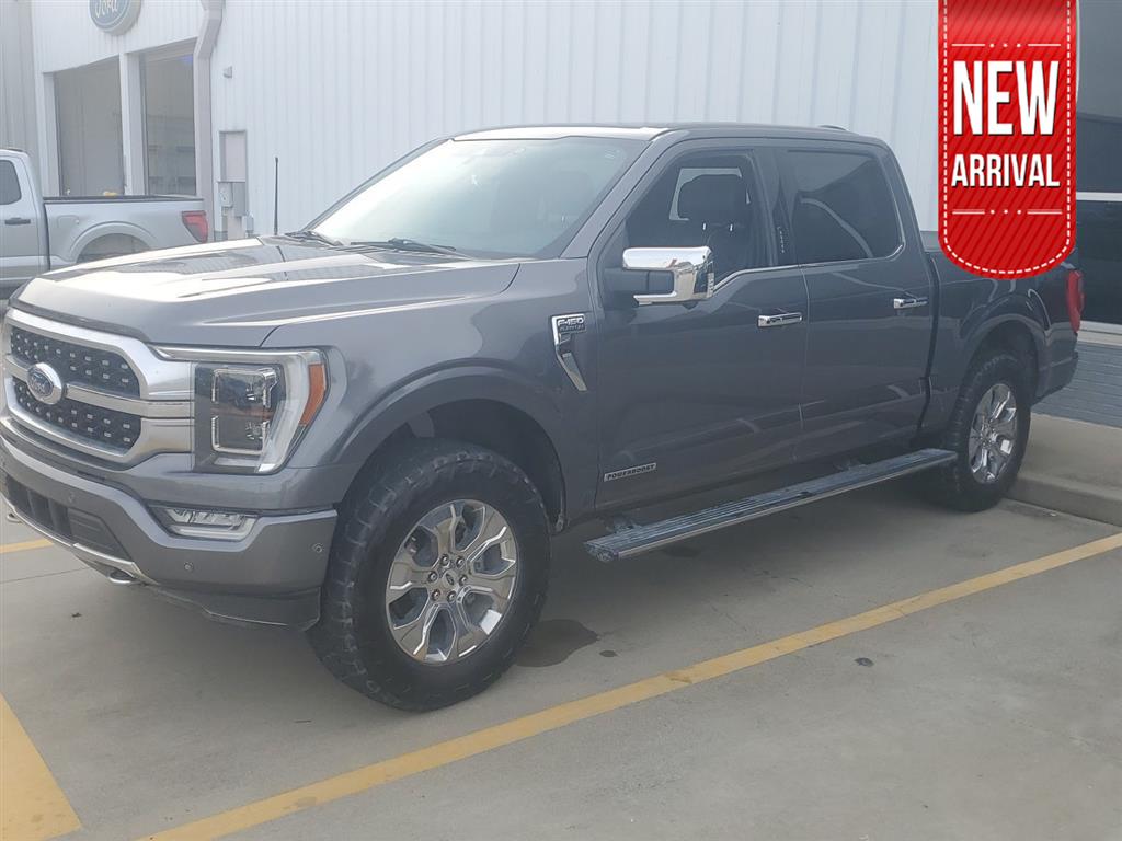 2022 Ford F-150 Platinum's photo