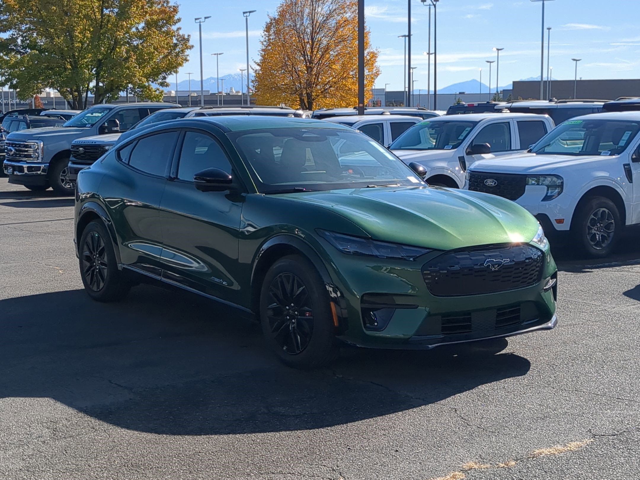 2025 Ford Mustang Mach-E Premium AWD's photo