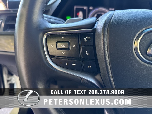 2022 Lexus ES 300h photo 22