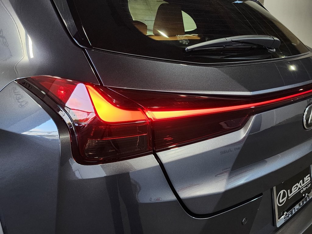 2025 Lexus UX photo 10
