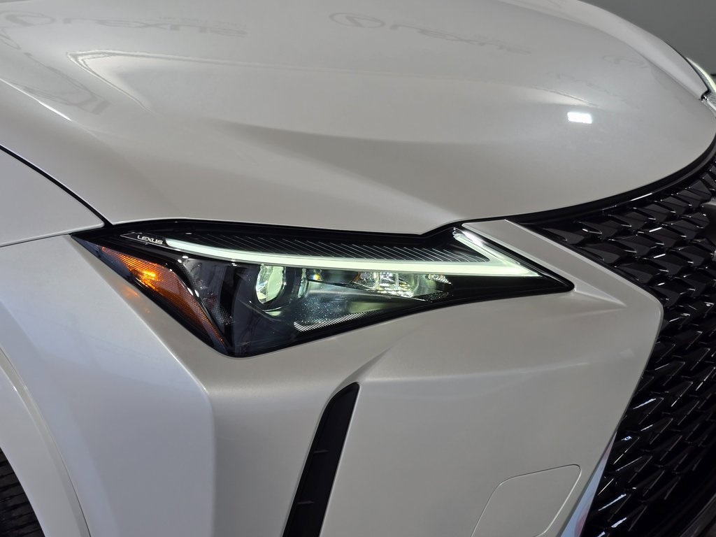 2025 Lexus UX photo 5