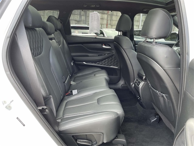 2021 Hyundai Santa Fe Calligraphy photo 16