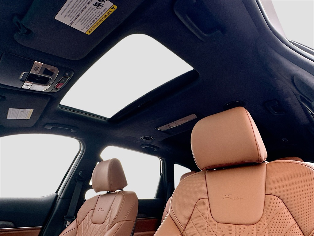 2025 Kia Telluride SX Prestige X-Line photo 18
