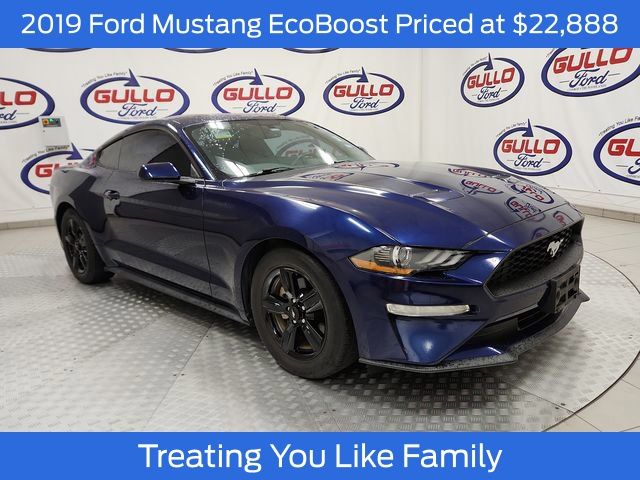2019 Ford Mustang