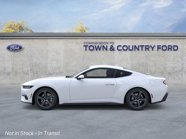 2025 Ford Mustang EcoBoost photo 12