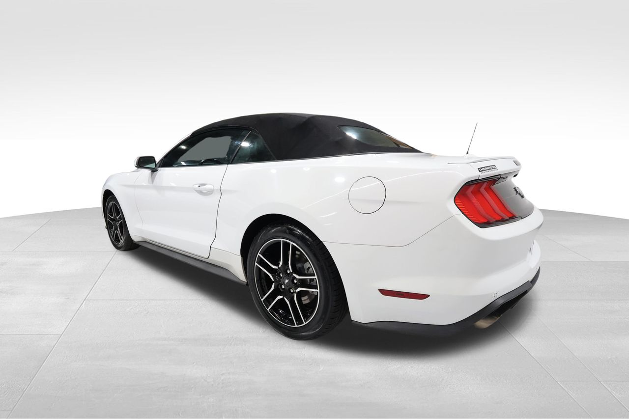 2023 Ford Mustang EcoBoost Premium photo 2