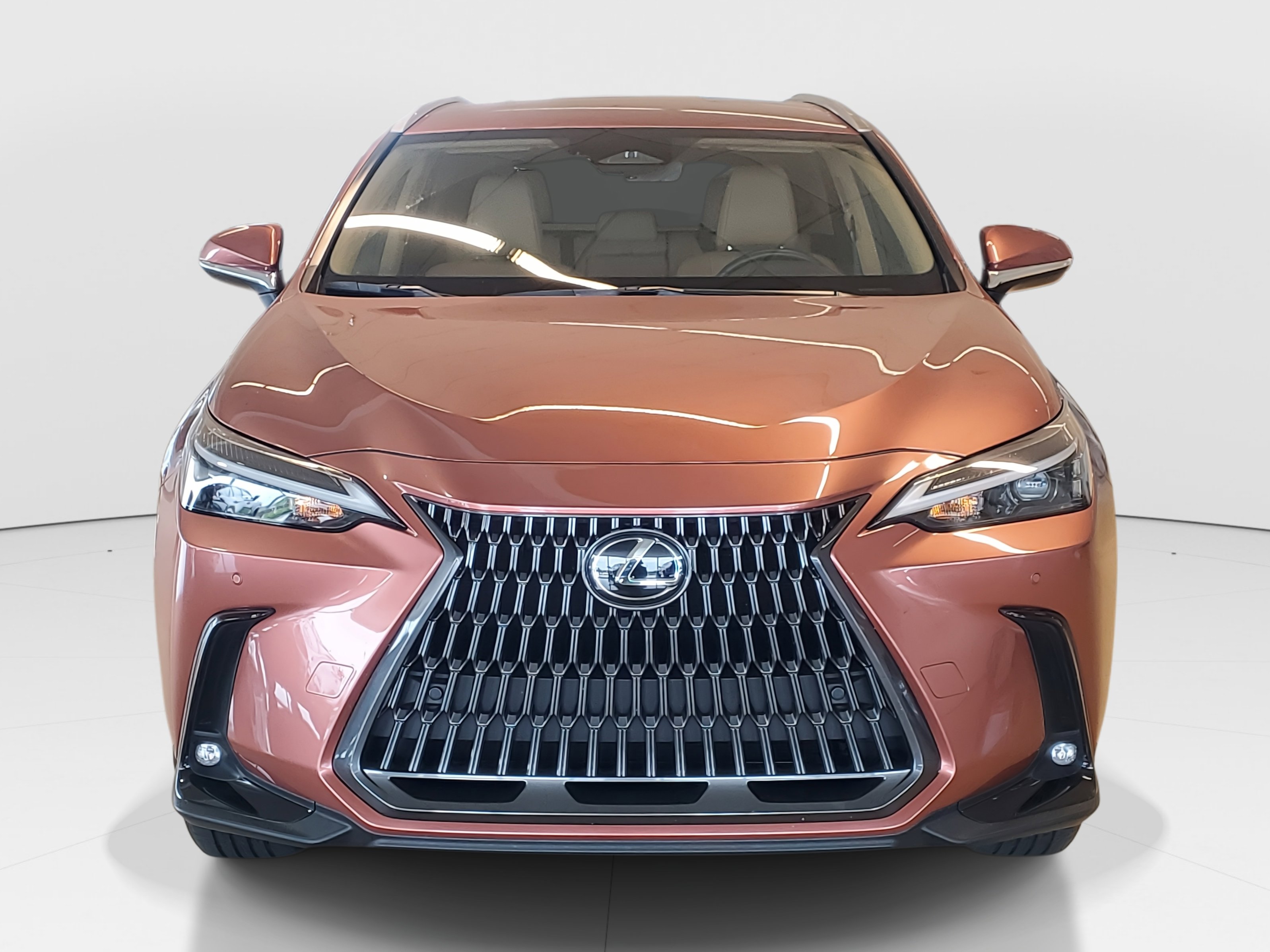 2025 Lexus NX 250 photo 4