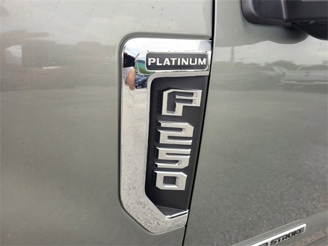 2019 Ford F-250 Platinum photo 3