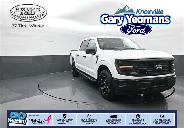 2025 Ford F-150 STX's photo