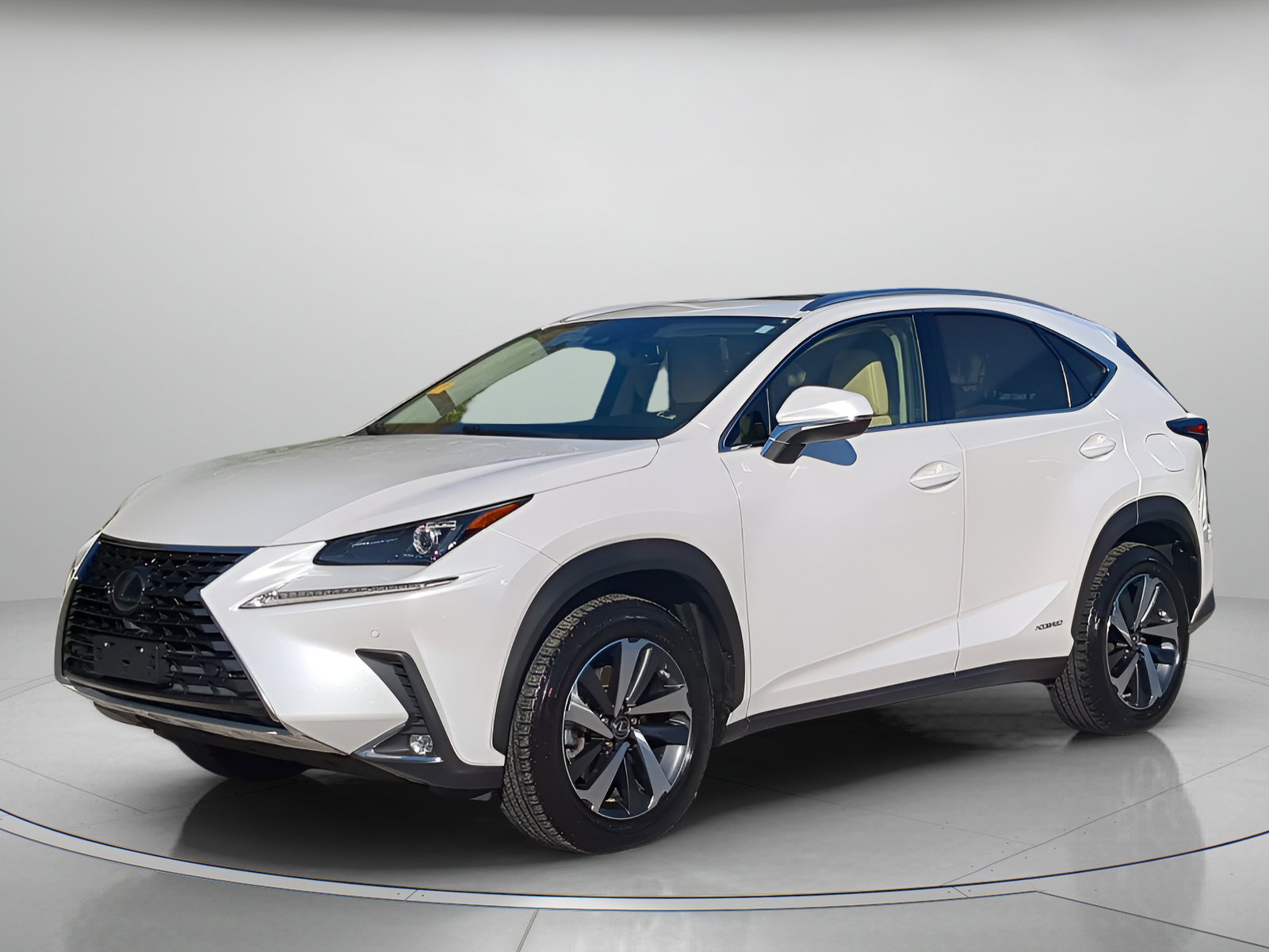 2020 Lexus NX Hybrid 300h's photo