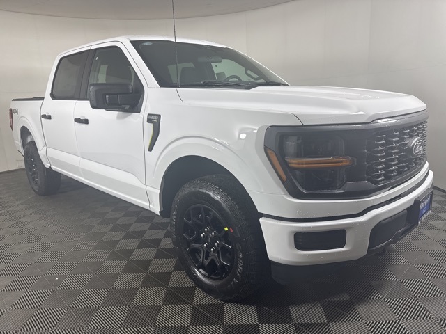 2025 Ford F-150 STX's photo