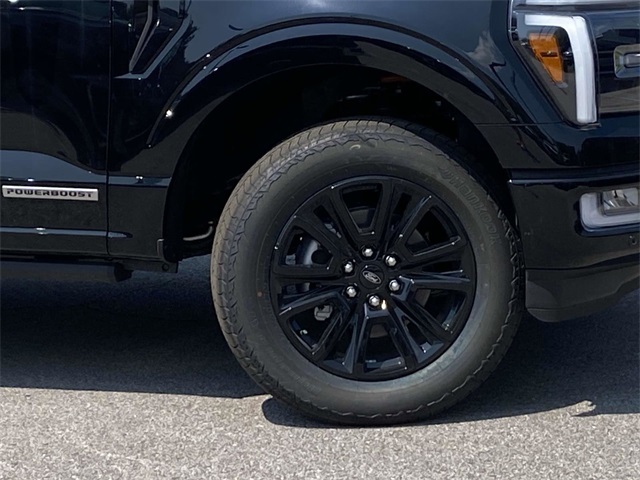 2025 Ford F-150 Platinum photo 5
