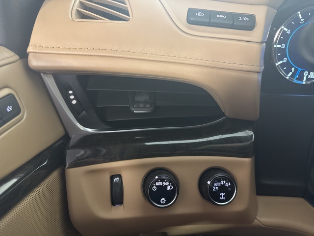 2020 Cadillac Escalade Platinum photo 20