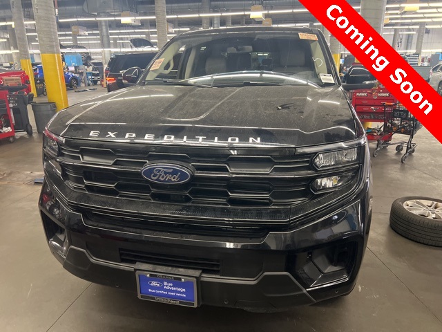 2025 Ford Expedition Active's photo