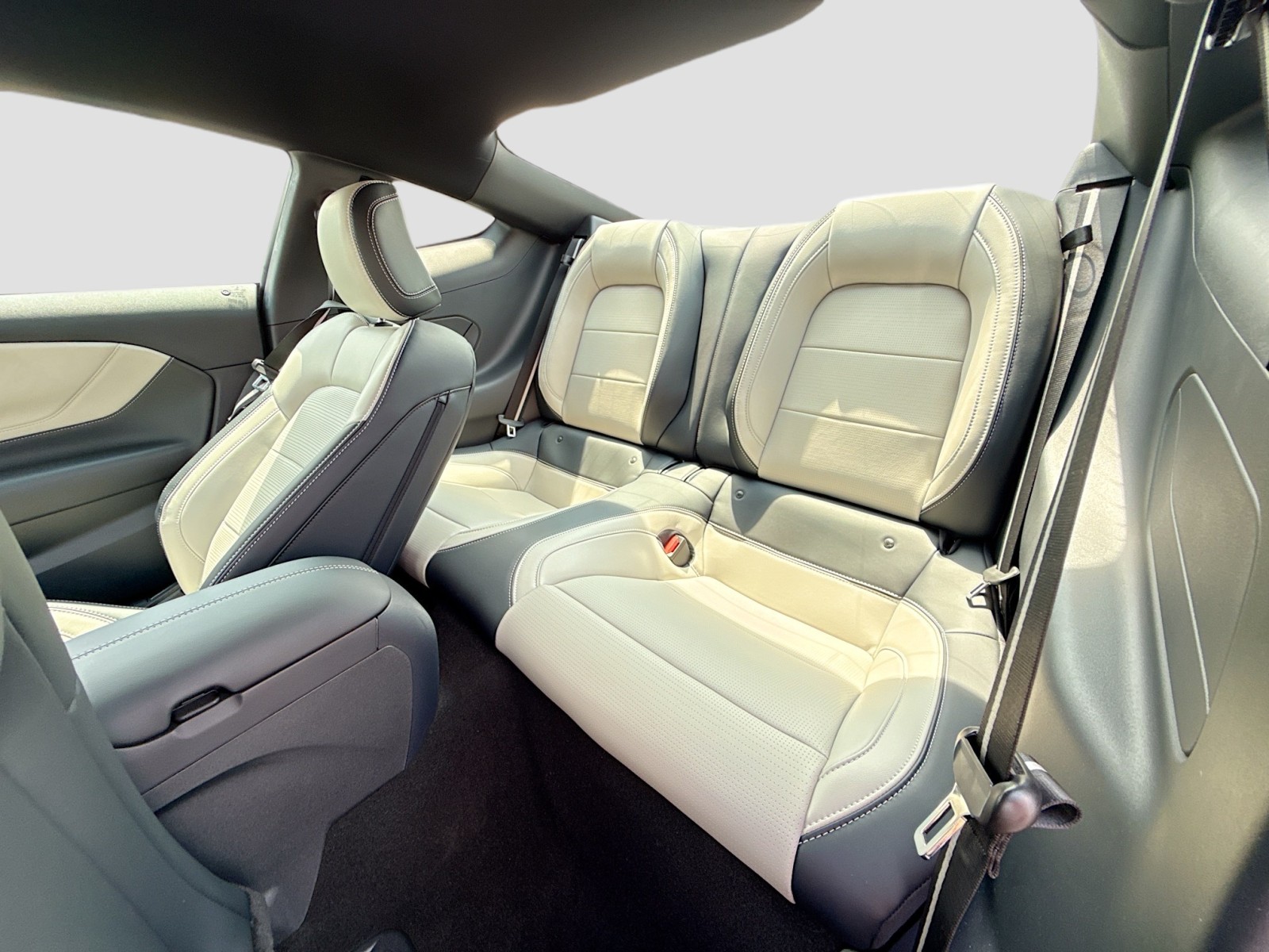 2024 Ford Mustang GT Premium photo 22