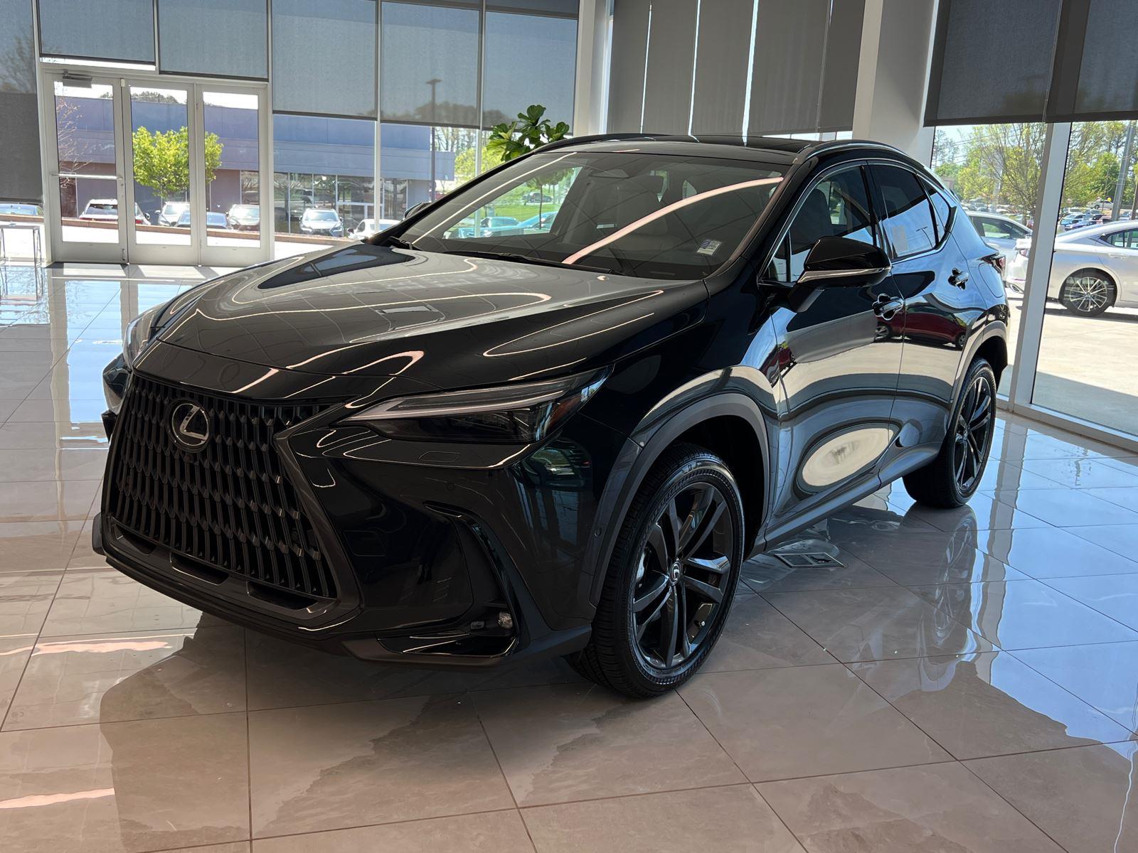 2025 Lexus NX Luxury AWD photo 2