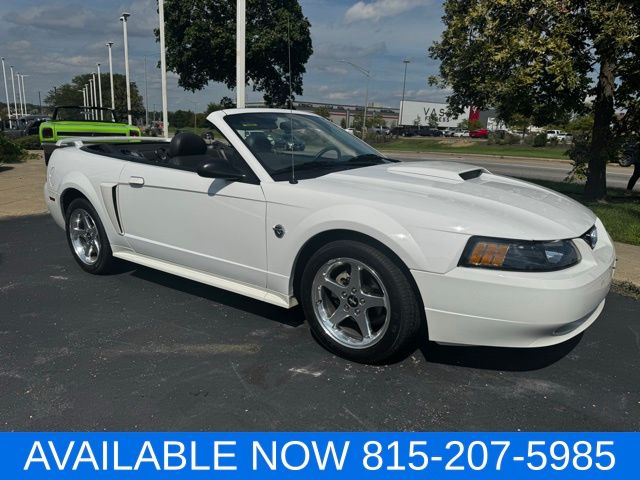 2004 Ford Mustang GT photo 15