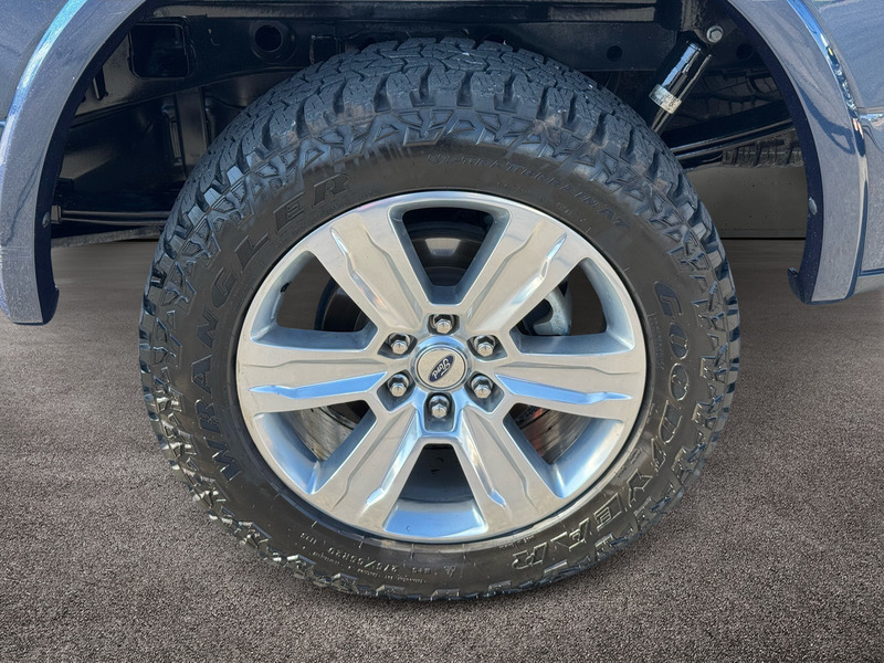 2020 Ford F-150 Platinum photo 8
