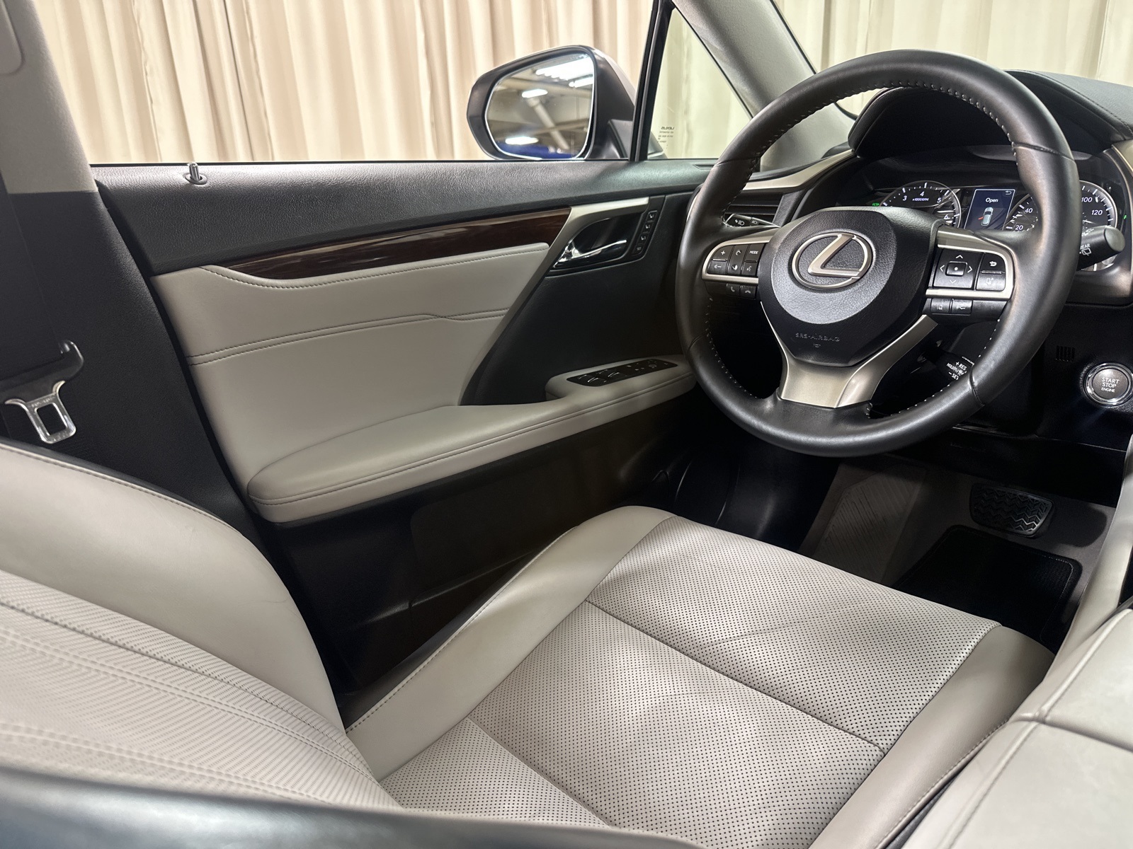 2019 Lexus RX 350 photo 11