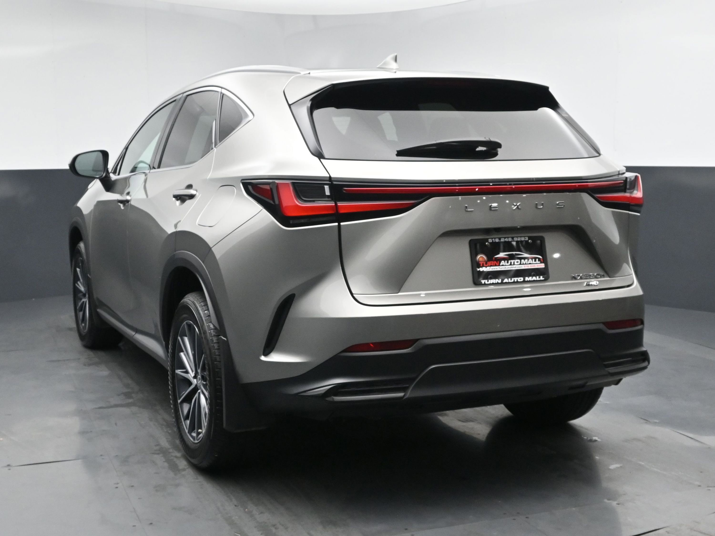 2022 Lexus NX 350h photo 2