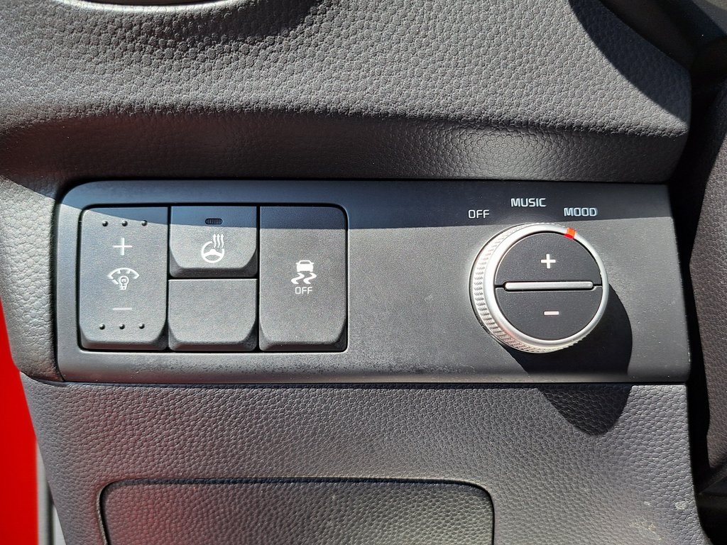 2019 Kia Soul Plus photo 10